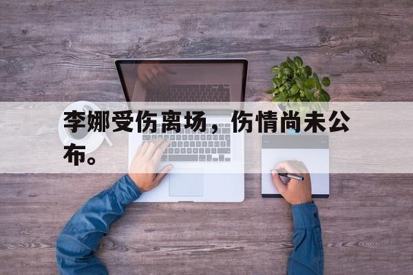 爱游戏网页版入口-李娜受伤离场,伤情尚未公布。