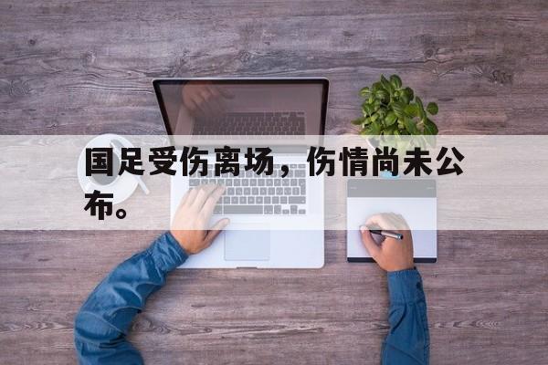 爱游戏网页版入口-国足受伤离场，伤情尚未公布。