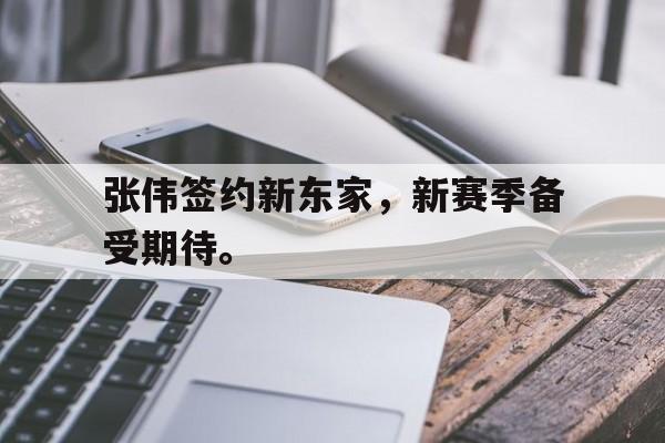 爱游戏网页版入口-张伟签约新东家，新赛季备受期待。