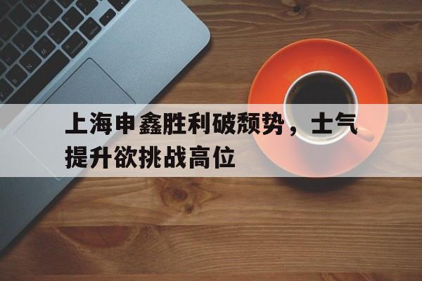 爱游戏网页版官网登录-上海申鑫胜利破颓势，士气提升欲挑战高位