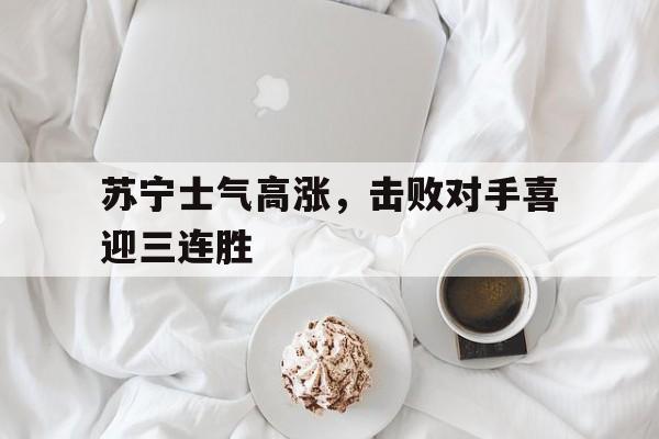 爱游戏网页版官网登录-苏宁士气高涨，击败对手喜迎三连胜