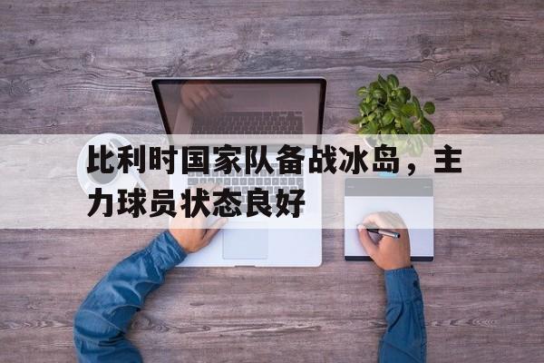 爱游戏网页版官网登录-比利时国家队备战冰岛,主力球员状态良好